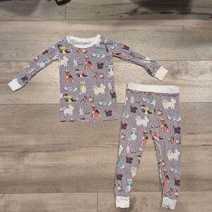 Little Sleepies Cool Cat Pajamas